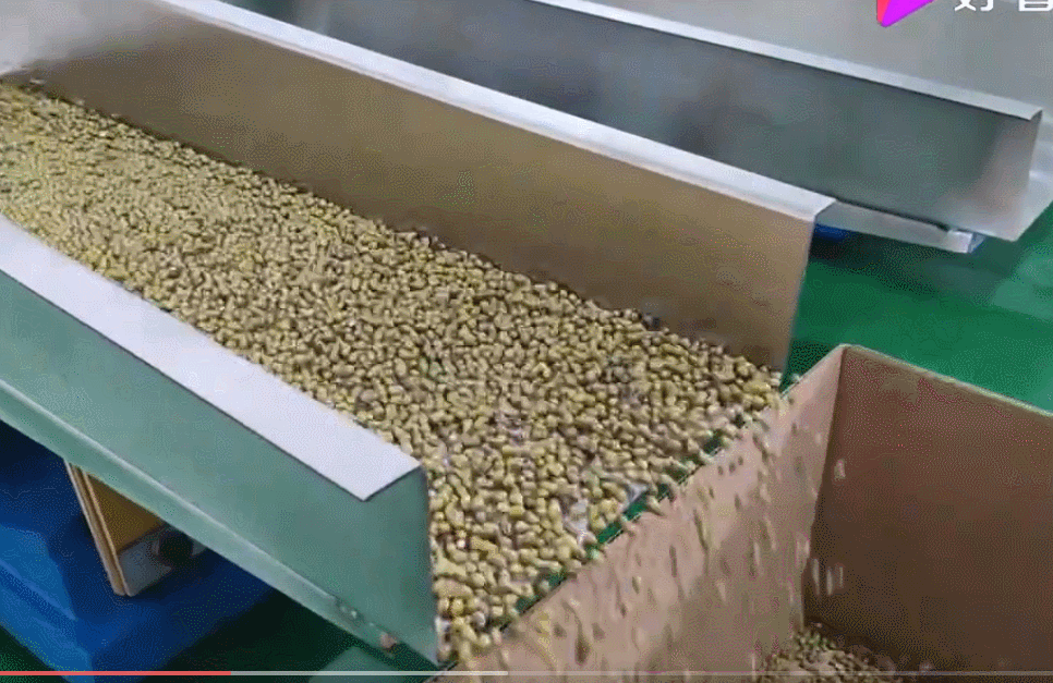 振動輸送機(jī)